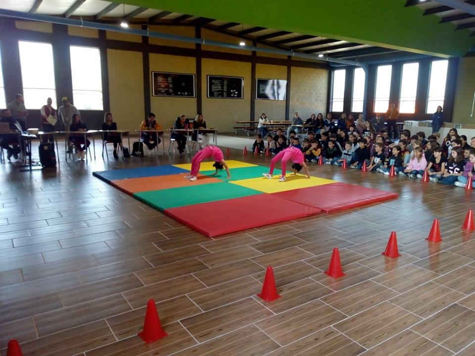 Eliminatorias Talent Show